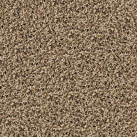 Ковровая плитка Desso1 Desso Twist 1660 