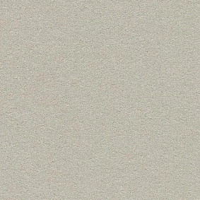  Forbo Bulletin Board 2206 Oyster Shell