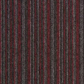  Ruscarpettiles Rct Status