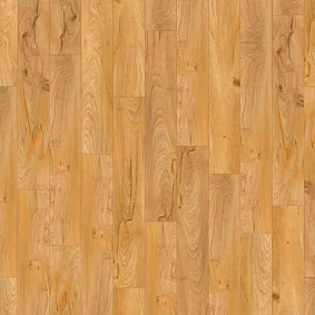  Armstrong5 Scala 100 Pur Wood 25076 161