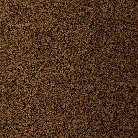  Ruscarpettiles Rct Riva