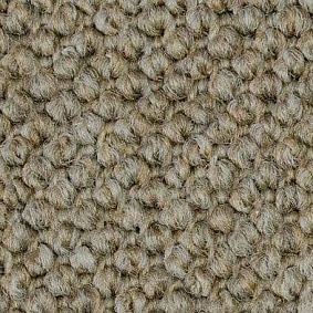 Ковролин Carpet Concept Eco Cut 40640