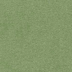  Radici Nexus Lichene 8225