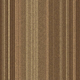  Interface