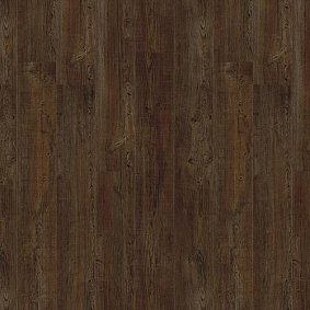 Линолеум Latin Pine 24580