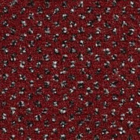  Ruscarpettiles Rct Apple