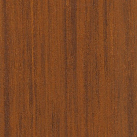  Armstrong2 Lino Art Nature Lpx