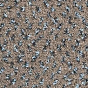  Balsan1 Balsan Impression 780