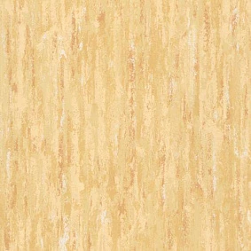  Armstrong2 Armstrong Cenit 411 072