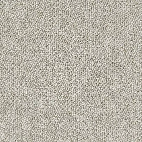 Desso1 Desso Natural Nuances 9210