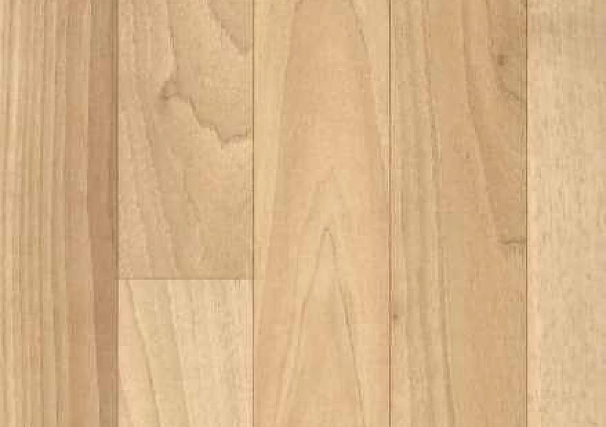 Линолеум Terrana 01 Eco 4231 251