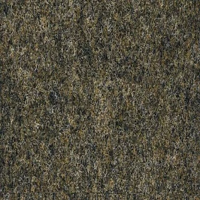 25 0