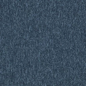  Interface 5591