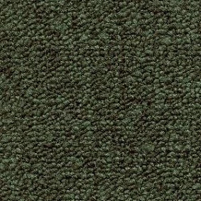 Radici Trotter Foresta 2405