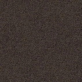  Interface 4175007