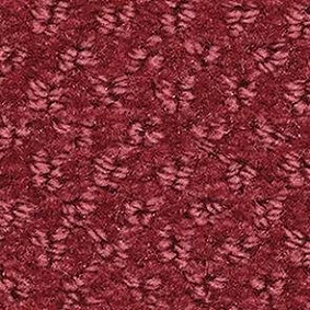  Balsan 545 Pourpre