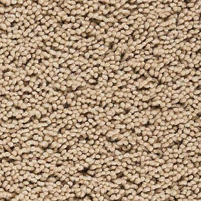  Best Wool
