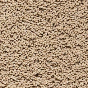  Best Wool Pure Palace Lux 114