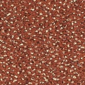  Balsan Equinoxe 445 Ecureuil