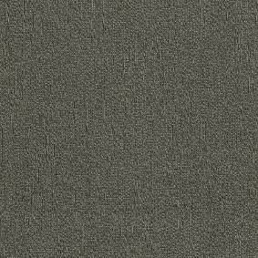  Interface 8556