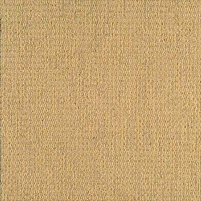  Interface 302898