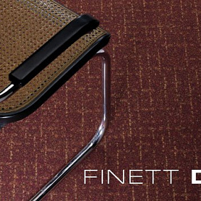  Finett