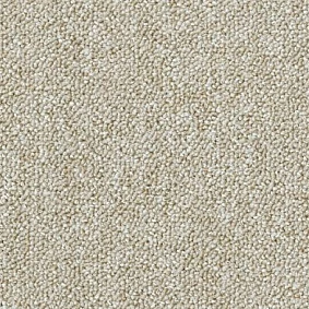  Desso1 Desso Natural Nuances 9010