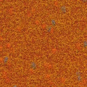  505565