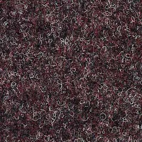  5006