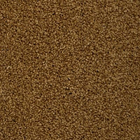  Ruscarpettiles Rct Riva