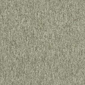  Interface 5585