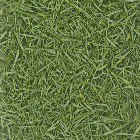  Grass T25