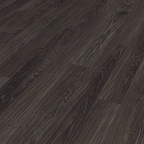  Kaindl 37581